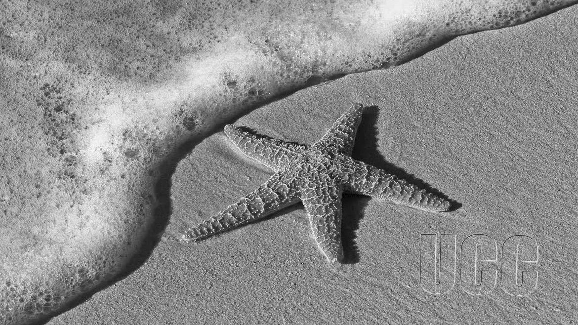 Delegation from University at Buffalo Calls on Vice-Chancellor